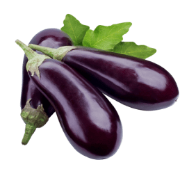 eggplant